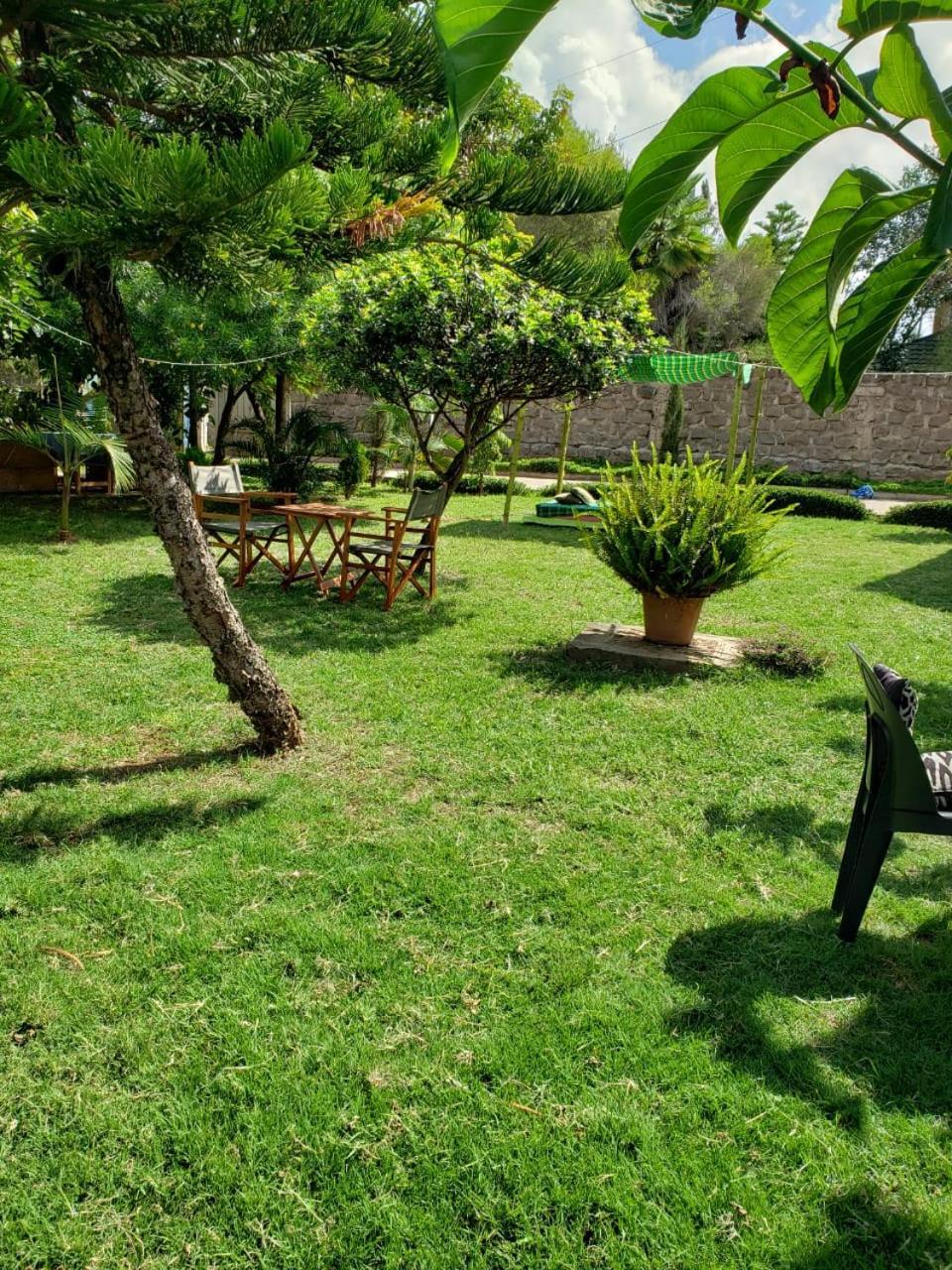 Homestay Teresita Jkia Nairobi